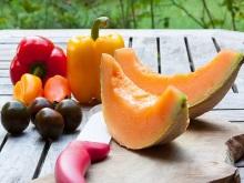 Recettes d'été 2019 Recettes d'été 2019