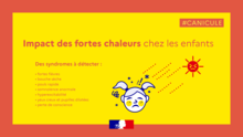 Alerte canicule !