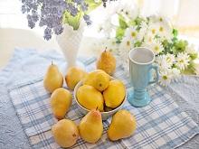 Recettes d'automne 2023 Recettes d'automne 2023
